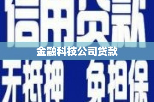 丰县金融科技公司贷款