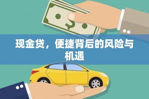 泰山现金贷，便捷背后的风险与机遇