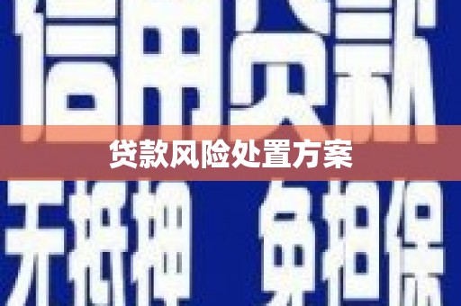 卑南贷款风险处置方案