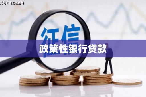 大英政策性银行贷款
