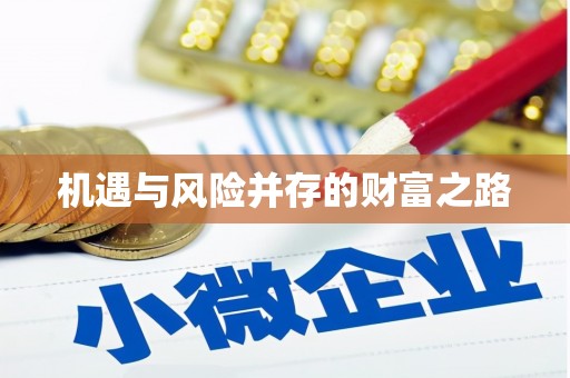 澜沧机遇与风险并存的财富之路