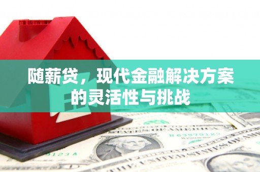五华随薪贷，现代金融解决方案的灵活性与挑战