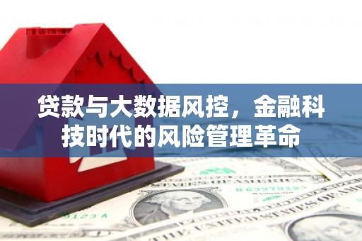 灌云贷款与大数据风控，金融科技时代的风险管理革命