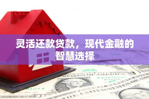 文安灵活还款贷款，现代金融的智慧选择