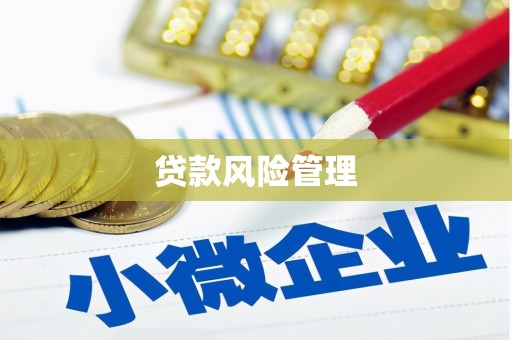 川汇贷款风险管理