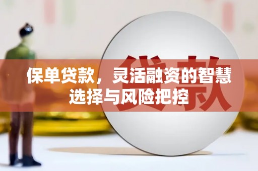 宣汉保单贷款，灵活融资的智慧选择与风险把控