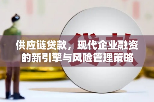 庄浪供应链贷款，现代企业融资的新引擎与风险管理策略
