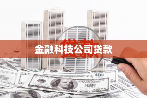 中宁金融科技公司贷款