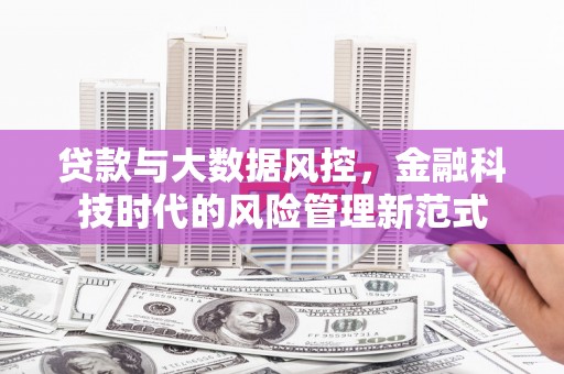前镇贷款与大数据风控，金融科技时代的风险管理新范式