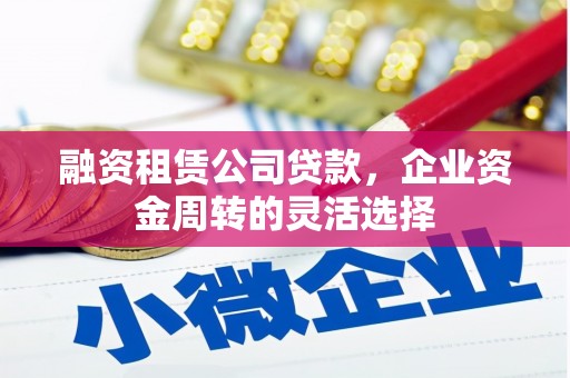 大兴安岭融资租赁公司贷款，企业资金周转的灵活选择