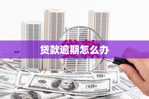 容县贷款逾期怎么办