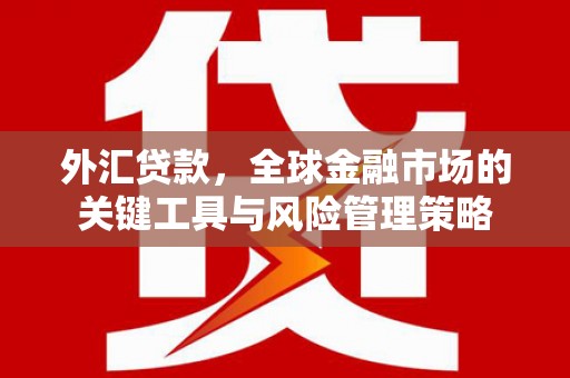 广陵外汇贷款，全球金融市场的关键工具与风险管理策略