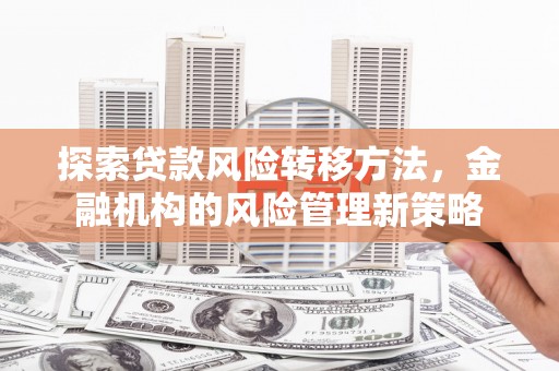 静宁探索贷款风险转移方法，金融机构的风险管理新策略