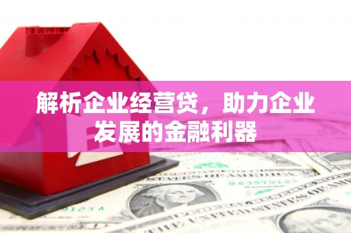 巧家解析企业经营贷，助力企业发展的金融利器