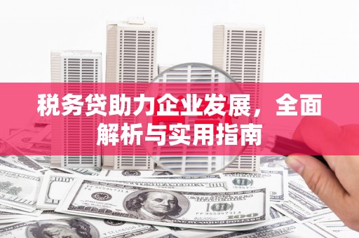 稻城税务贷助力企业发展，全面解析与实用指南