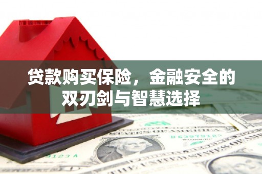 雾峰贷款购买保险，金融安全的双刃剑与智慧选择
