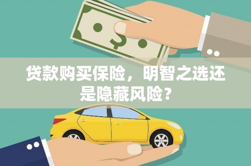 宁乡贷款购买保险，明智之选还是隐藏风险？
