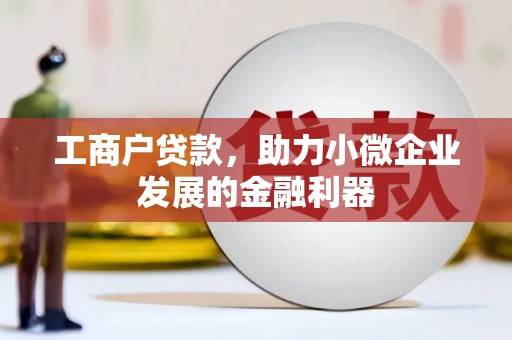 威宁工商户贷款，助力小微企业发展的金融利器