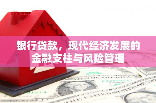 定安银行贷款，现代经济发展的金融支柱与风险管理