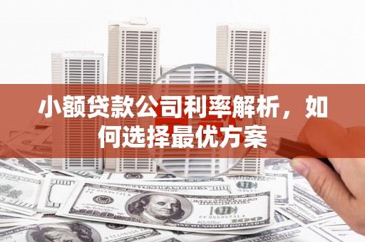 阳春小额贷款公司利率解析，如何选择最优方案