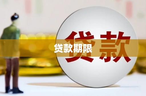 桃城贷款期限
