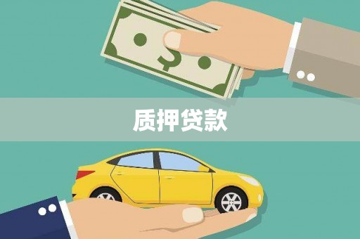 武陵质押贷款