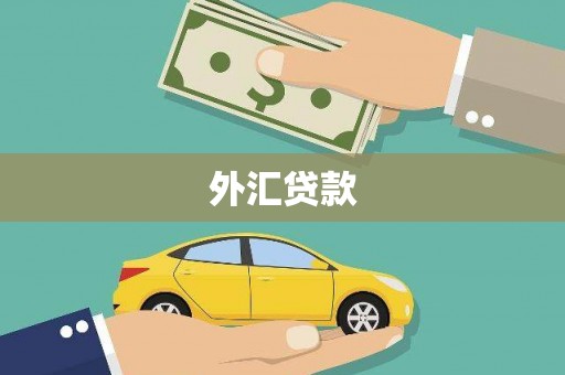 茄萣外汇贷款