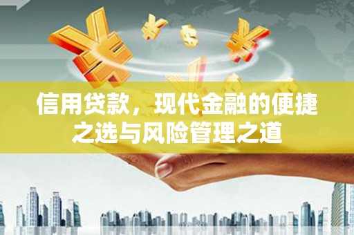 湾仔区信用贷款，现代金融的便捷之选与风险管理之道