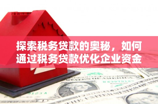 施秉探索税务贷款的奥秘，如何通过税务贷款优化企业资金流