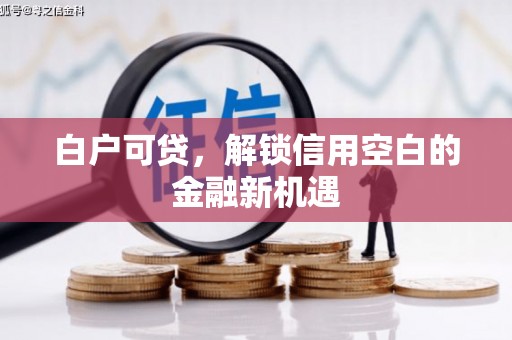 金昌白户可贷，解锁信用空白的金融新机遇