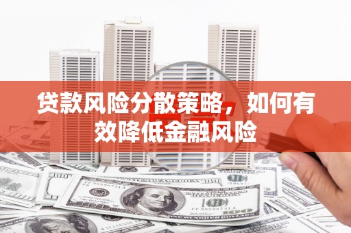 雷州贷款风险分散策略，如何有效降低金融风险