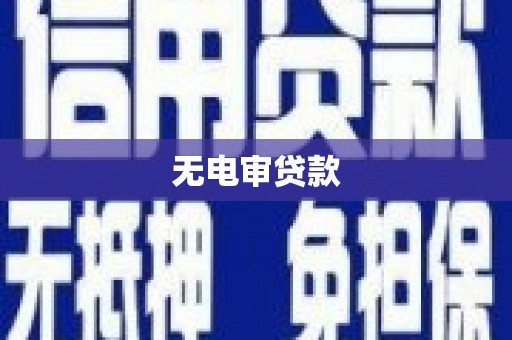 吴忠无电审贷款