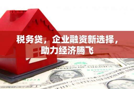 营口税务贷，企业融资新选择，助力经济腾飞