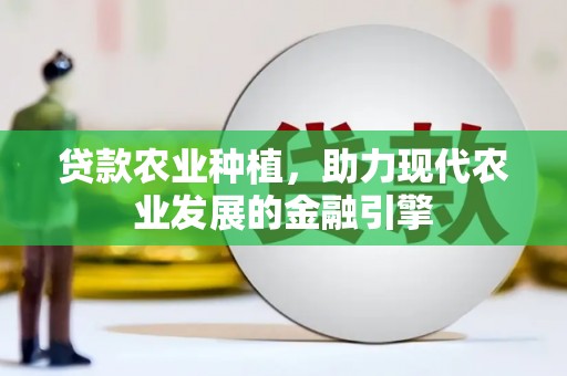 吴忠贷款农业种植，助力现代农业发展的金融引擎