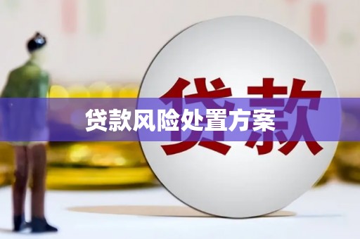 衡阳贷款风险处置方案