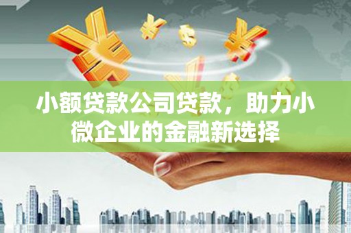 丰顺小额贷款公司贷款，助力小微企业的金融新选择