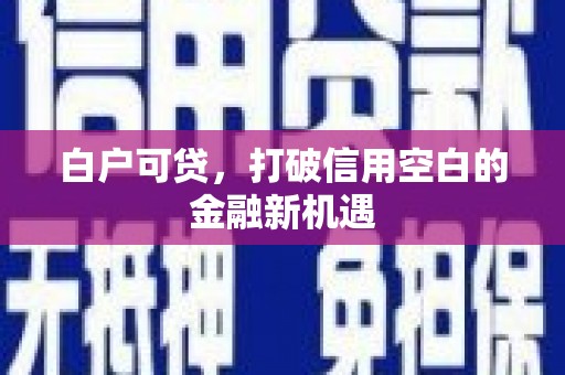 漳县白户可贷，打破信用空白的金融新机遇