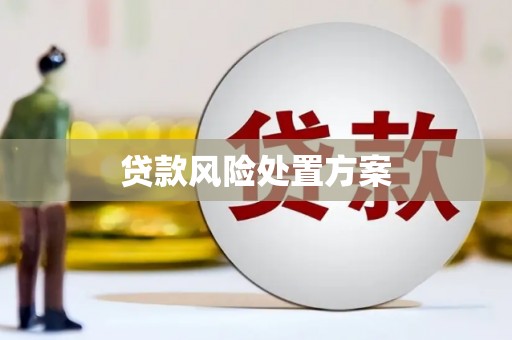 桦川贷款风险处置方案