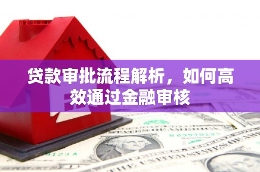大林贷款审批流程解析，如何高效通过金融审核