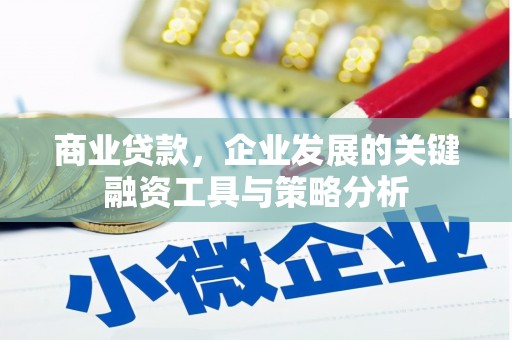 清远商业贷款，企业发展的关键融资工具与策略分析