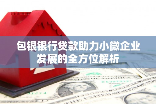 大朗包银银行贷款助力小微企业发展的全方位解析