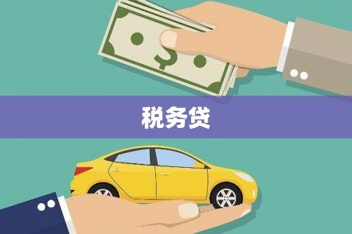 怀安税务贷