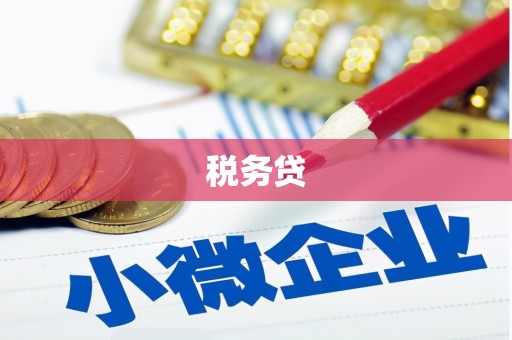 乳源税务贷