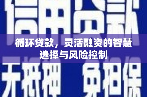始兴循环贷款，灵活融资的智慧选择与风险控制