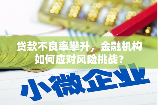 海宁贷款不良率攀升，金融机构如何应对风险挑战？