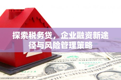 回民探索税务贷，企业融资新途径与风险管理策略
