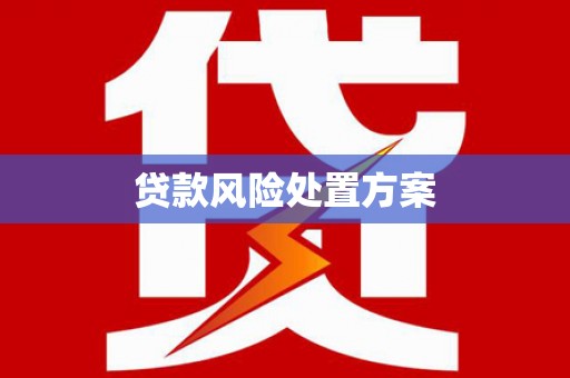 合浦贷款风险处置方案
