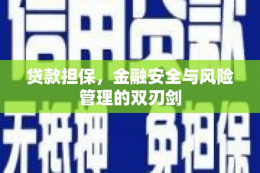 达坂城贷款担保，金融安全与风险管理的双刃剑