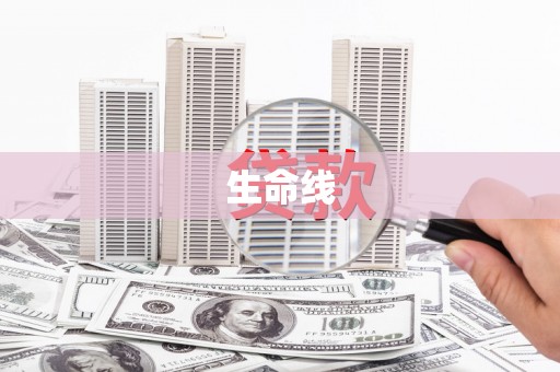 德州生命线