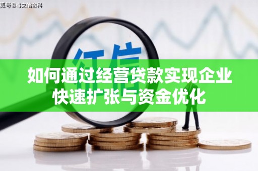 莎车如何通过经营贷款实现企业快速扩张与资金优化